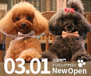 (架空)出張専門トリミングサロンバナー